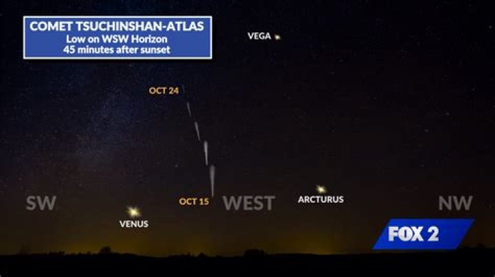 2023 Lisa Weiss' Current Location and Latest News