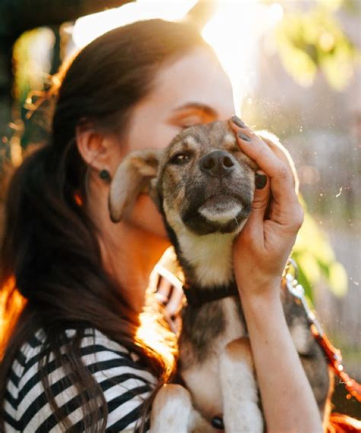 Animal Shelter in Castaic California: A Comprehensive Guide to Finding Your Furry Friend