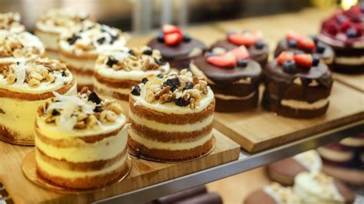 Animaltart with E: A Comprehensive Guide to the Trendiest Dessert Sensation
