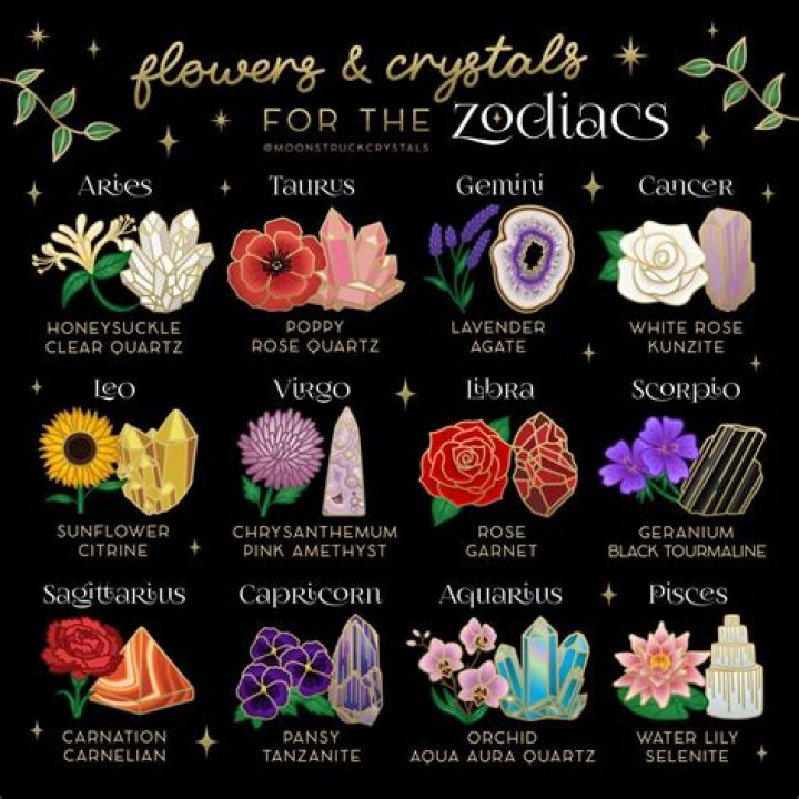 Astrology Insights for February 19: Understanding Cosmic Energy and Its Impact on Your Zodiac