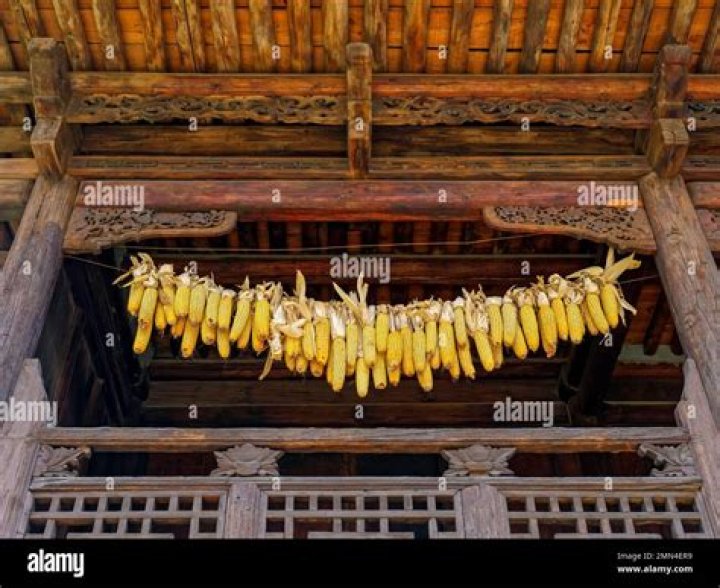 Beijing Corn: The Unique Culinary Treat of China
