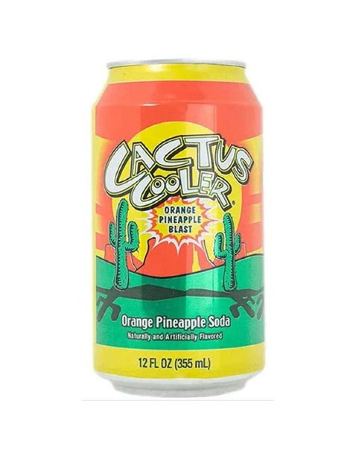 Best Cactus Coolers: Refreshing Desert Designs