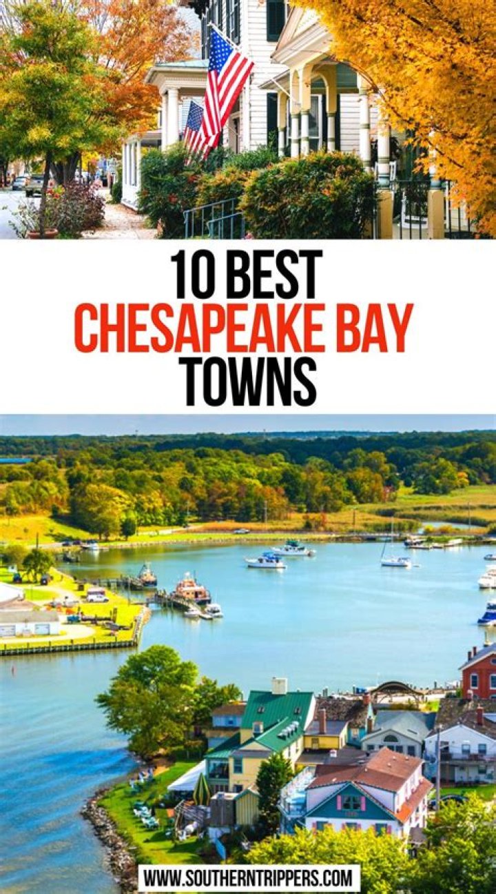 Best Chesapeake Buckets &amp; More!