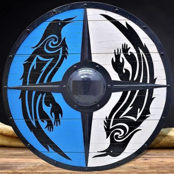 Best Viking Logos & Shield Designs