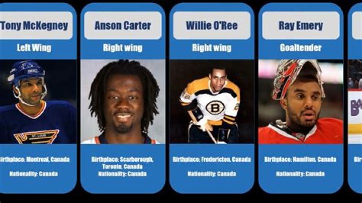 Black Players in the NHL Currently: A Look at Diversity in Hockey