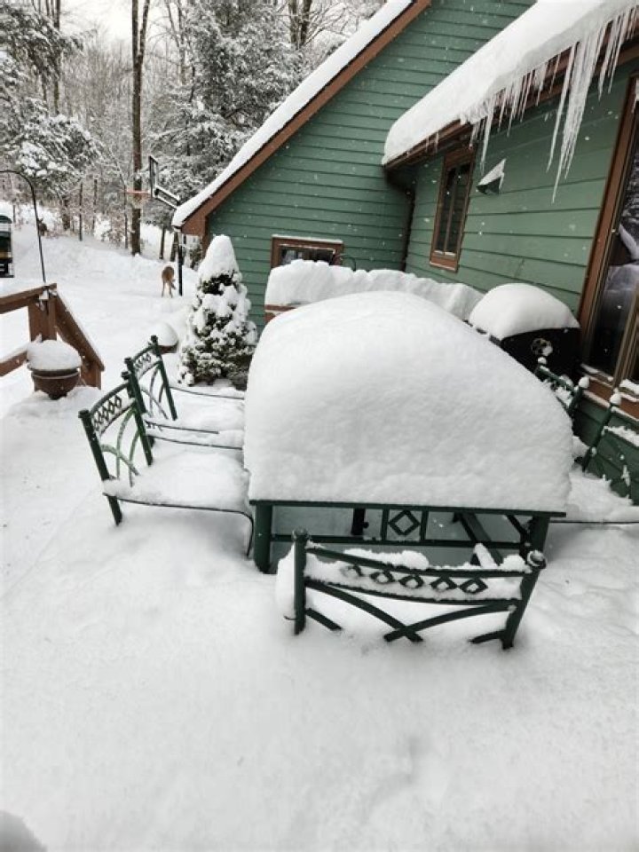 Bowie MD: A Comprehensive Guide to the Nowfall Phenomenon