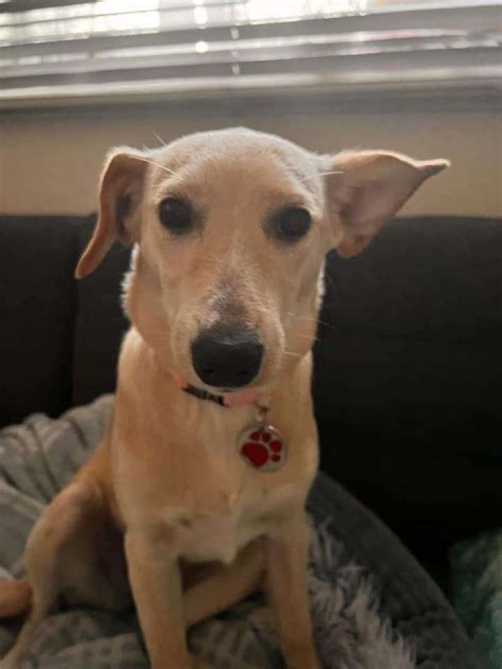 Bunca Kalamazoo: Find Your Perfect [Suffix]