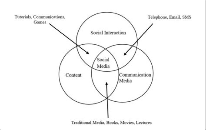Burry on Social Media: The Rise and Influence of a Digital Phenomenon