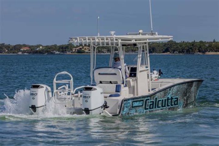 Calcutta 263: The Ultimate Guide