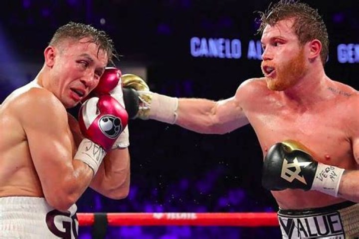 Canelo Alvarez Brother: Unveiling the Untold Story