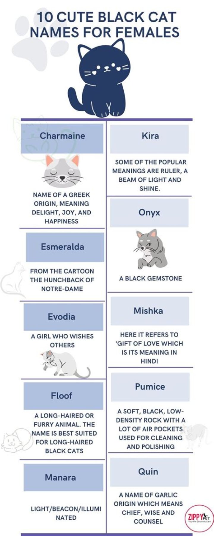 Charming Names for Black Cats: A Comprehensive Guide