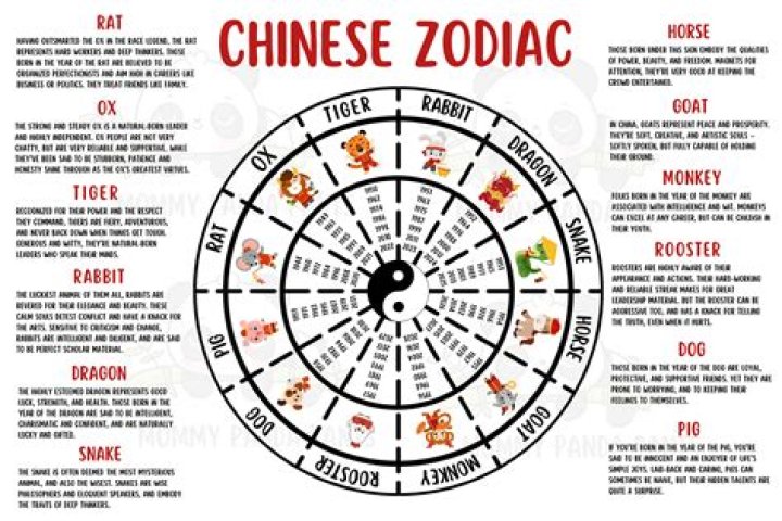 Chinese Starign 1974: A Comprehensive Guide to Understanding Your Zodiac Sign