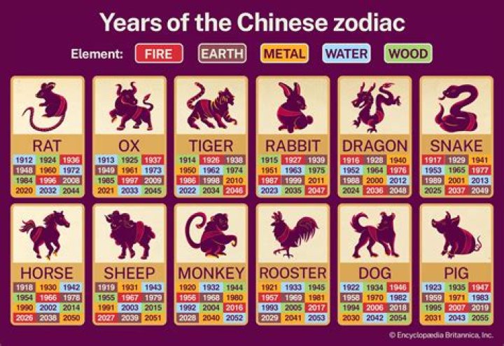 Chinese Zodiac 1974 Animal and Element: A Comprehensive Guide