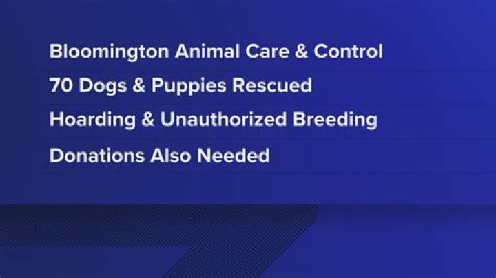 City of Bloomington Animal Shelter: A Comprehensive Guide