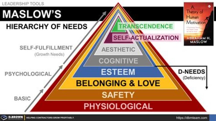 Criticism of Maslow's Hierarchy of Needs: An In-Depth Analysis