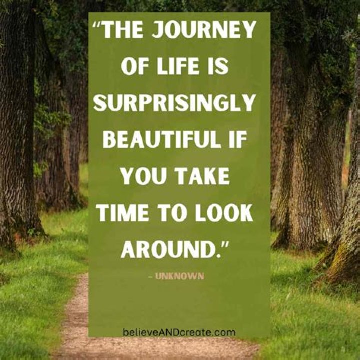 Dan Scott: The Inspirational Journey Through Oakland Valley