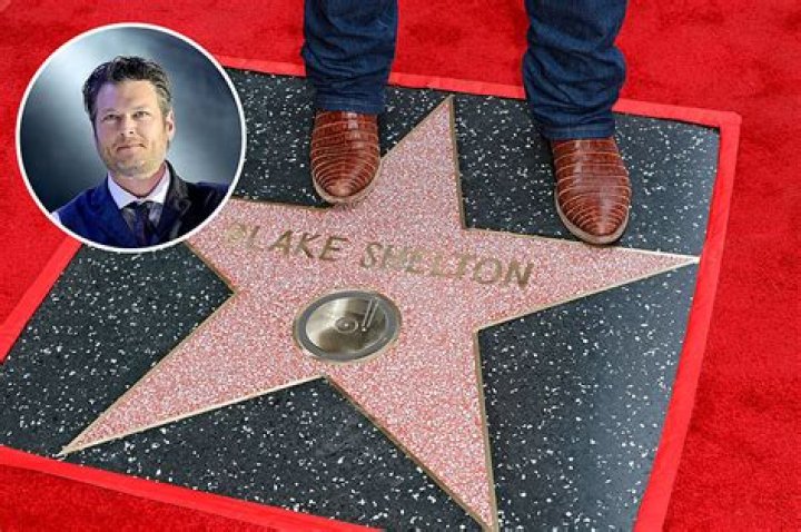 Did Blake Shelton Have a Baby in 2024? Exploring the Latest Updates