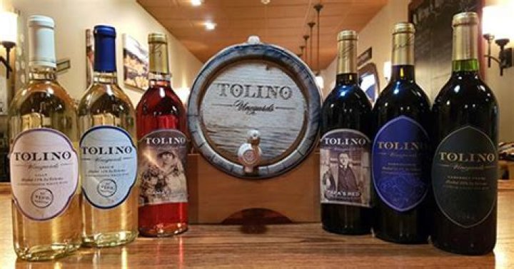Discover Exquisite Tolino Wines: Unique Flavors Await!