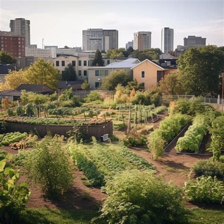 Discover the Charm of Berkeley Heights: A Thriving Community in New Jersey