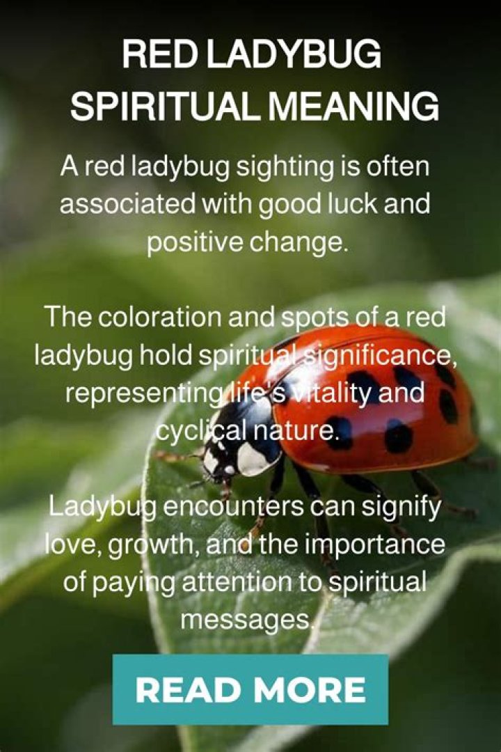Discover the Spiritual Significance of the Ladybug: Uncover Its Symbolic Meaning