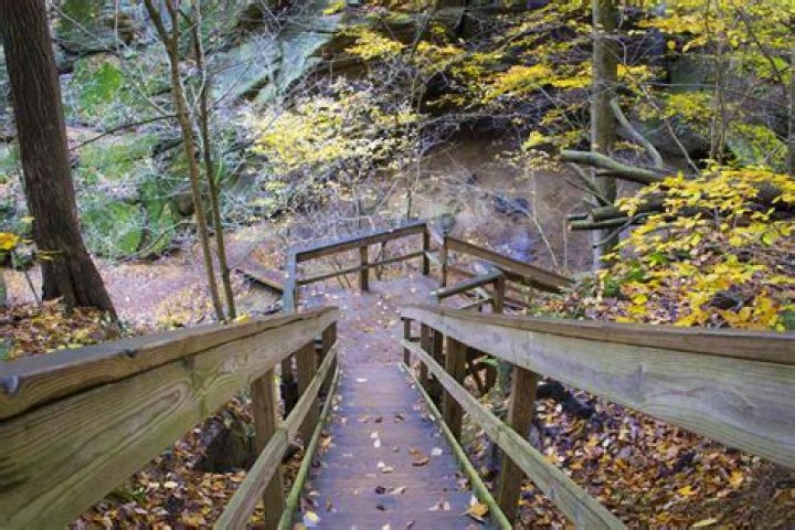Discovering Mohican State Park: A Guide to Ohio's Natural Wonderland