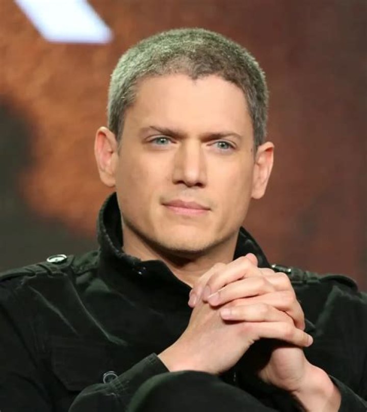Discovering the Fascinating World of Wentworth Miller's Partners