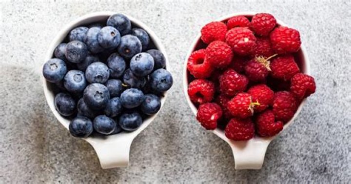 Dog Eats Raspberries: The Complete Guide for Pet Owners