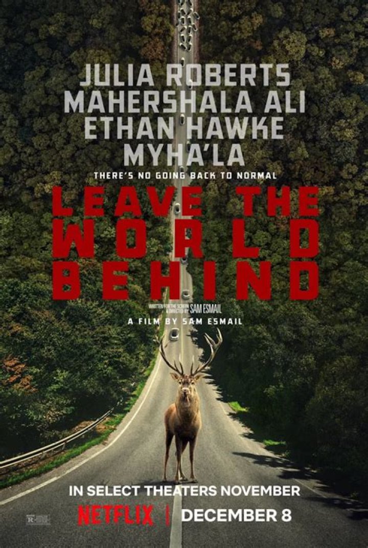 Erik Curtis: Unveiling the Genius Behind Netflix's Success