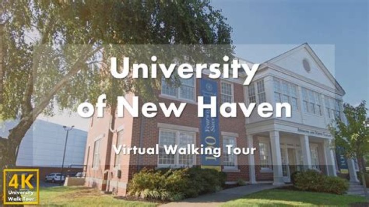 Exploring the Affinity New Haven: A Comprehensive Guide