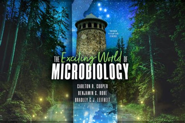 Exploring the Exciting World of Vegas PH Category English