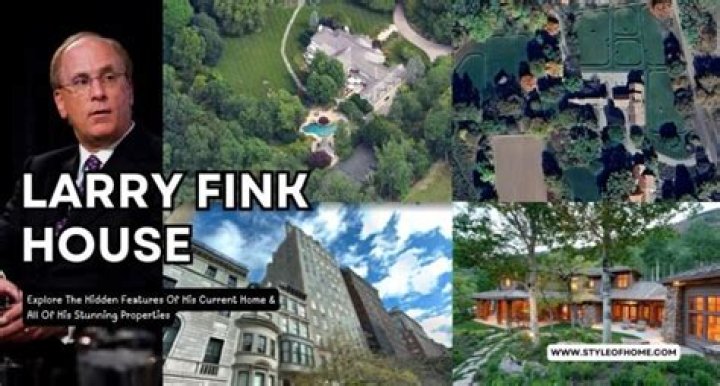Exploring the Luxury of Larry Fink's House