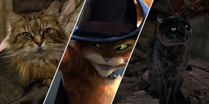 Exploring the Most Memorable Cats from Disney Movies