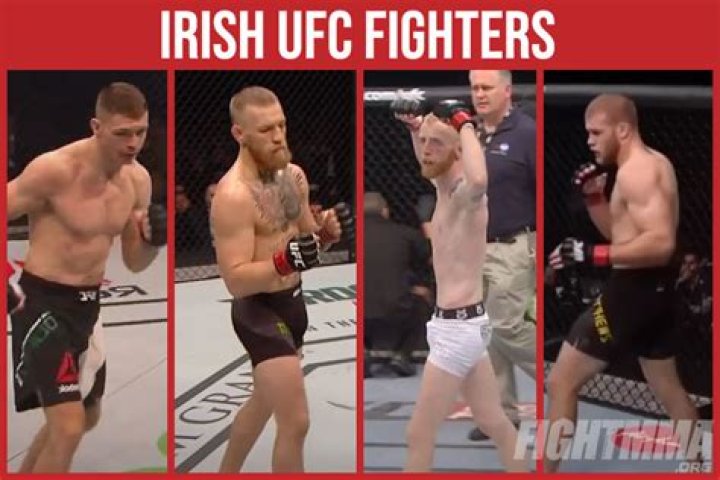 Exploring the Rise of Irish UFC Fighters: A Comprehensive Guide