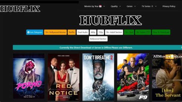 Exploring the World of HDShub HubFlix: Your Ultimate Streaming Companion