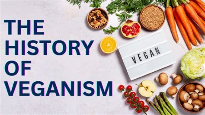 Exploring the World of Veganism: A Comprehensive Guide to Vegan S
