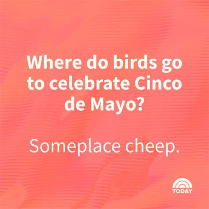 Funny Cinco de Mayo Images to Celebrate the Spirit of the Day