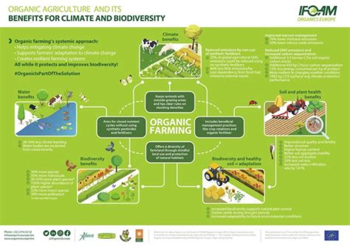 Greenhills Farmstead: Discovering the Charm of Sustainable Farming