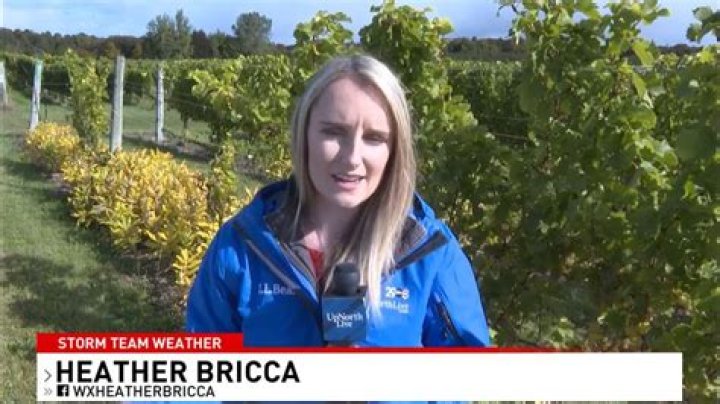 Heather Bricca: Latest News & Updates