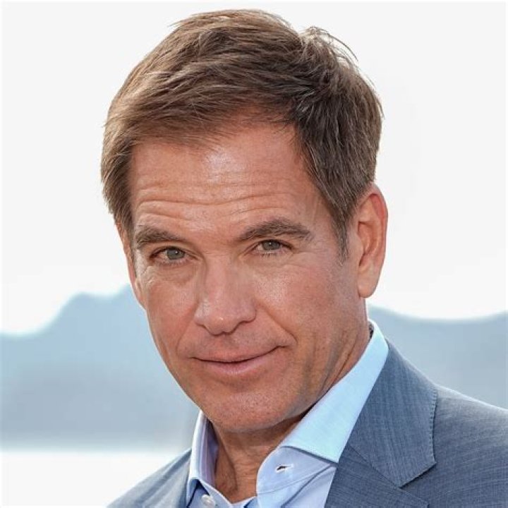 How Much Is Michael Weatherly Worth? Exploring the Life and Wealth of a Hollywood Star