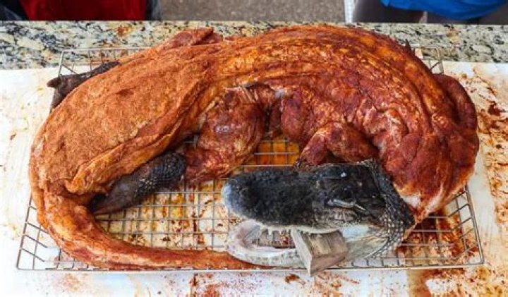 Incredible Alligator Meat: Recipes & Facts
