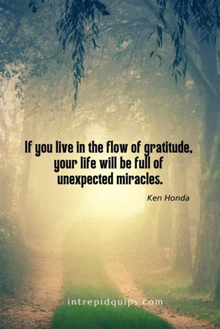 Inspiring Islamic Quotes Pictures to Uplift Your Spirit