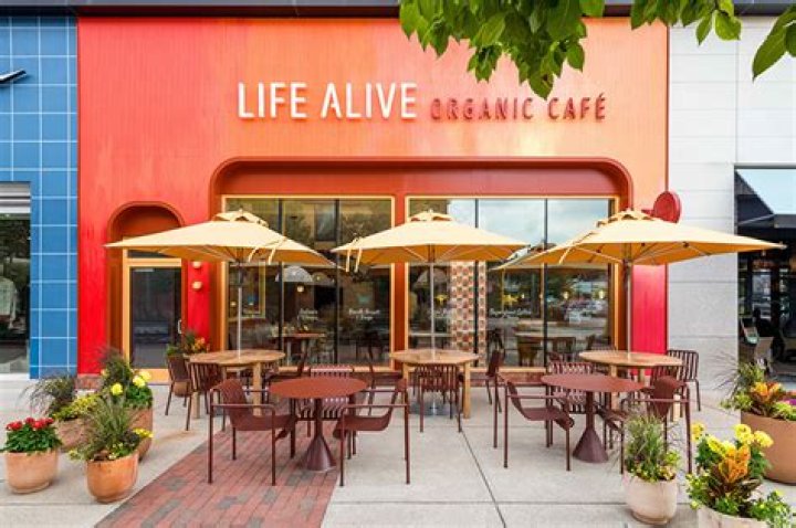 Life Alive Organic Cafe: A Culinary Journey in Central Square