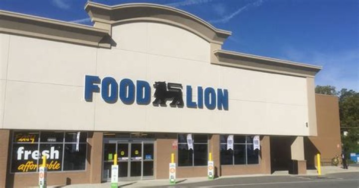 Lion Food Center: A Culinary Gem for Food Lovers