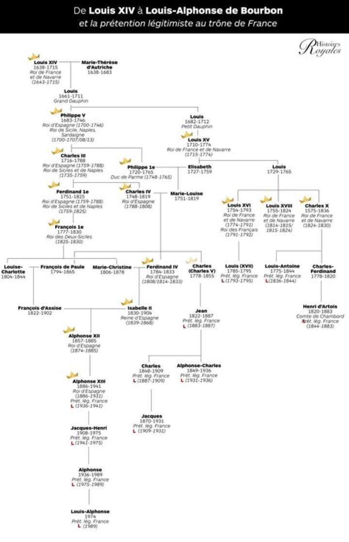 Louis Alphonse de Bourbon: Wealth Perspective and More