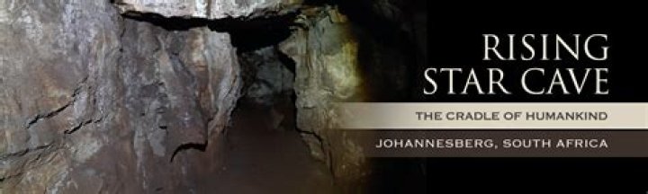 Mackenyu Relationships: Exploring the Personal Life of the Rising Star