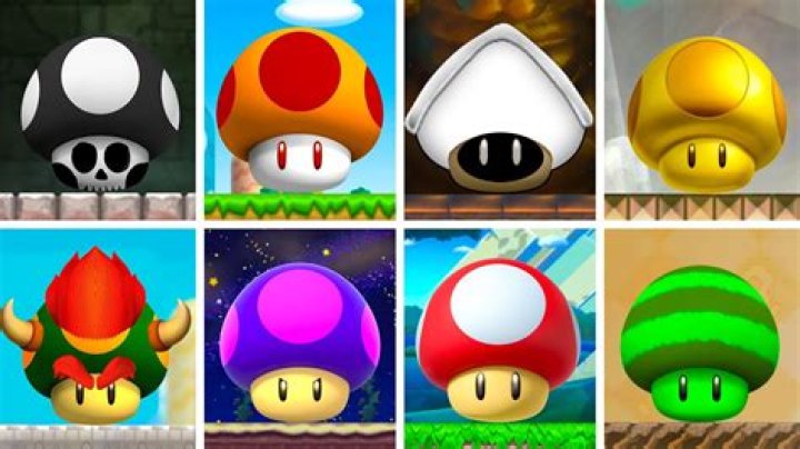 Mushrooms from Super Mario Bros: The Ultimate Guide
