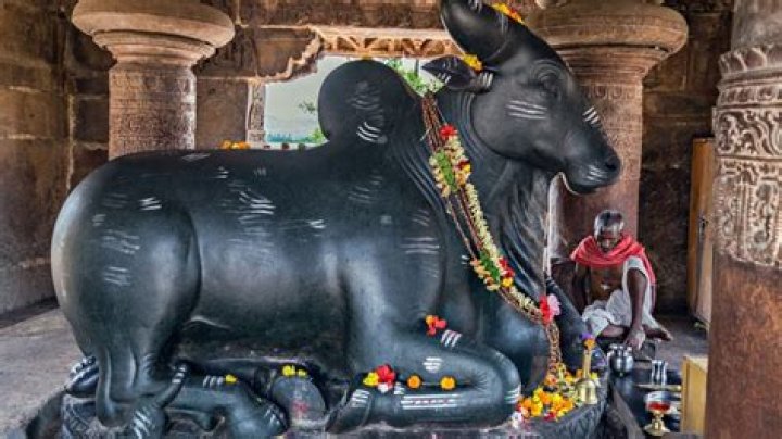 Nandi Images: A Comprehensive Guide to Understanding and Appreciating Nandi in Art and Culture