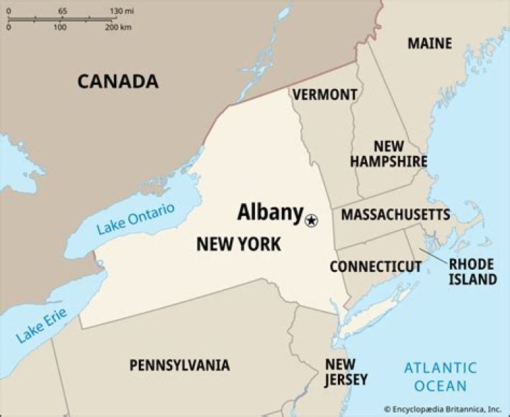 Oori Albany: An Insight into the Cultural Hub of Albany, New York