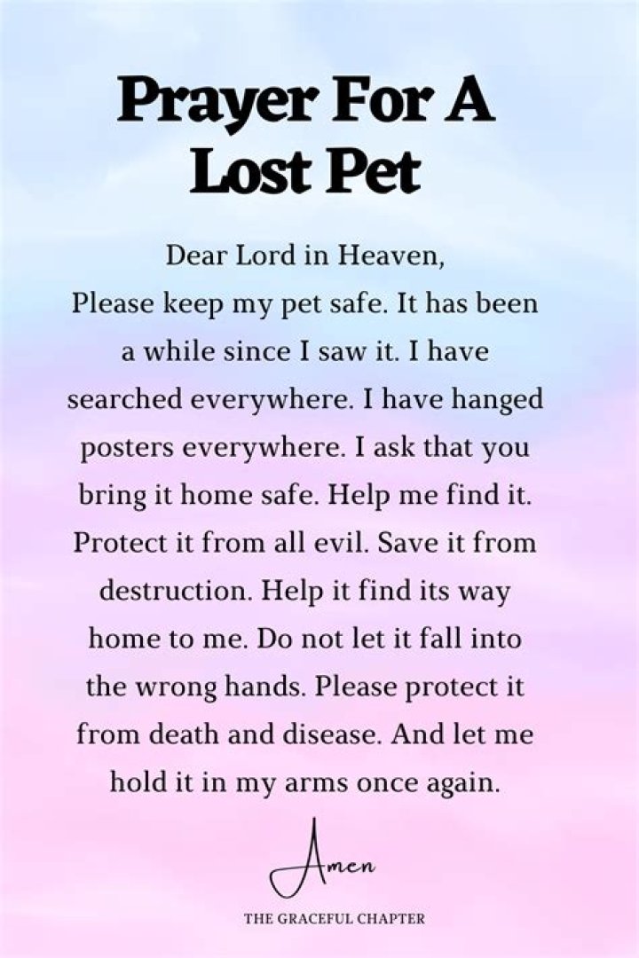 Prayer for Missing Pet: Finding Hope and Healing