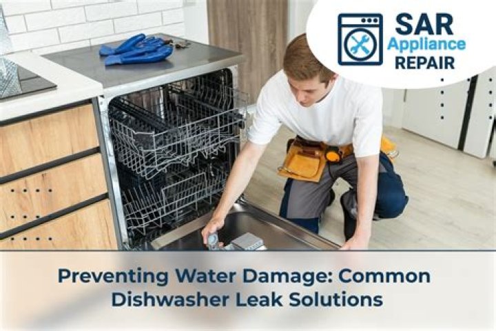 Preventing Desiluted Leak Damage: Solutions & Repair